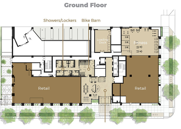 3400_Walnut_FL_Plans-1.jpg